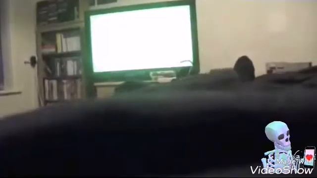 ТОП 5 СЛЕНДЕРОВ СНЯТЫХ НА КАМЕРУ #2