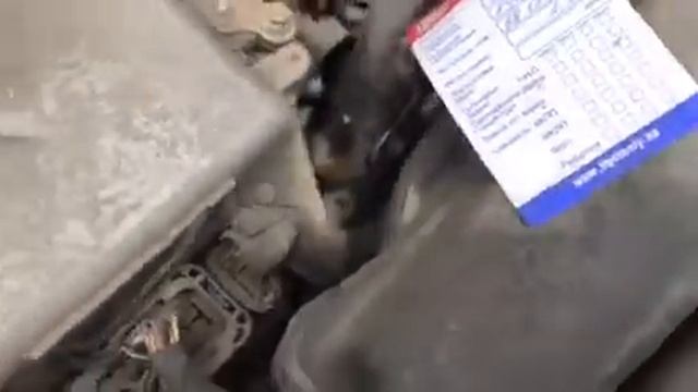 AVALON 2014 смотреть онлайн