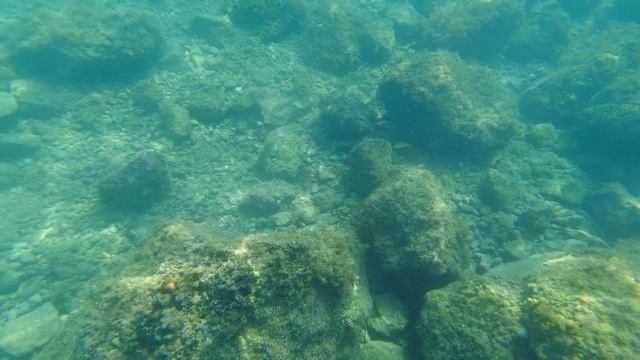 Пляж Пунта-Рата Хорватия  Kroatien