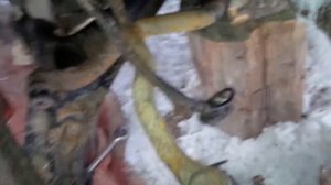 Замена сальника акпп хонда срв рд 1 сальник привода