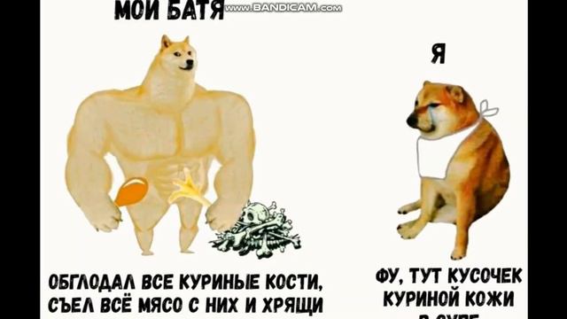 доми шоу смотреть онлайн