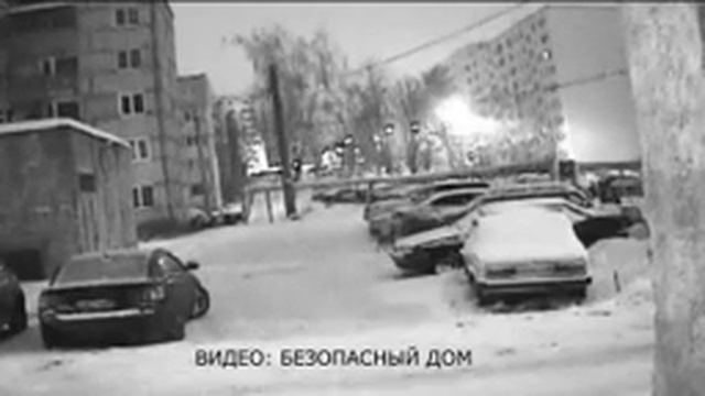 В Пензе собаки испортили авто смотреть онлайн