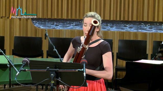 Ástor Piazolla - Escolaso (bassoon And Strings, Michaela Špačková)