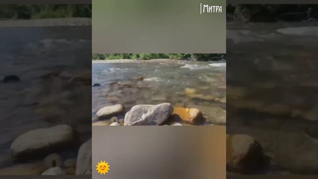 Алтай - потоки Мироздания #ШколаСорадение #Митра #Стихи #Феникс