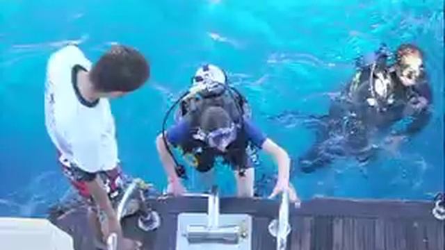 шарм эль шейх 2012 моё погружение смотреть онлайн