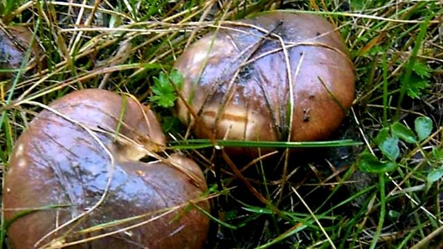 Жонглирование с Огнем и Световыми Эффектами