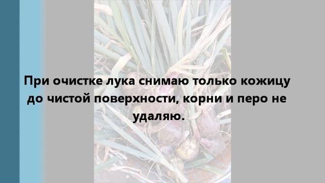 Лук на зиму. Как сохранить. смотреть онлайн