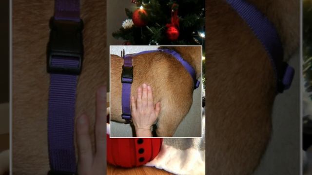 Путешествия с подругами