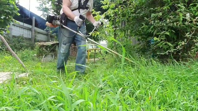 Салаты с Ананасами