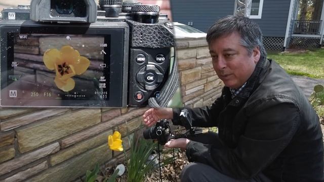 Flower Photography With Black Background Using On Camera Flash Ep.152