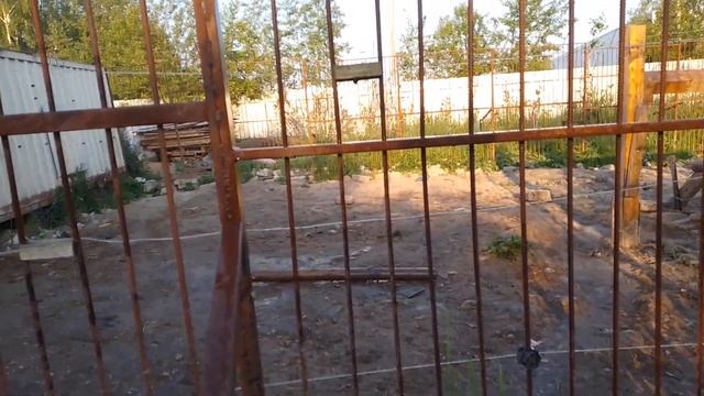 25.06.22. Маша колбасится с мамашей. смотреть онлайн