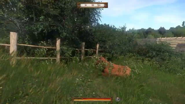 Kingdom Come Deliverance Bring some game meat to the infirmary [HOW TO] смотреть онлайн
