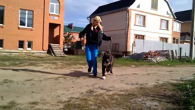 VID_20101010_112916.3gp смотреть онлайн