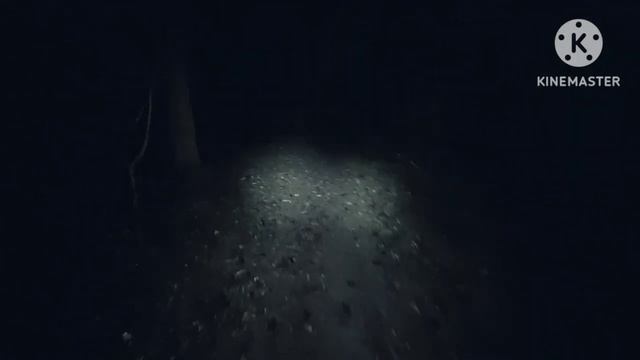 ЗАБРОШЕННАЯ дача " ПАЛАЧА " смотреть онлайн
