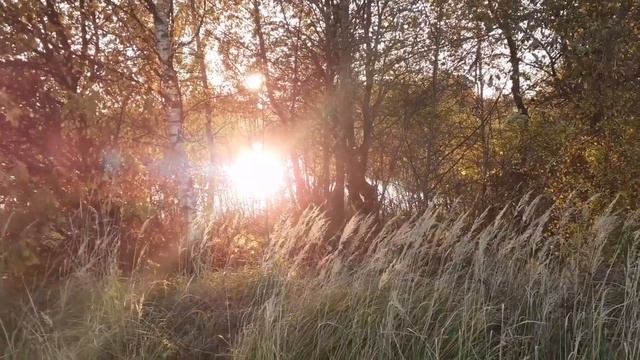 «Хозяйка и Хозяин Сильного Рода» Отзыв о вебинаре Алены Полынь смотреть онлайн