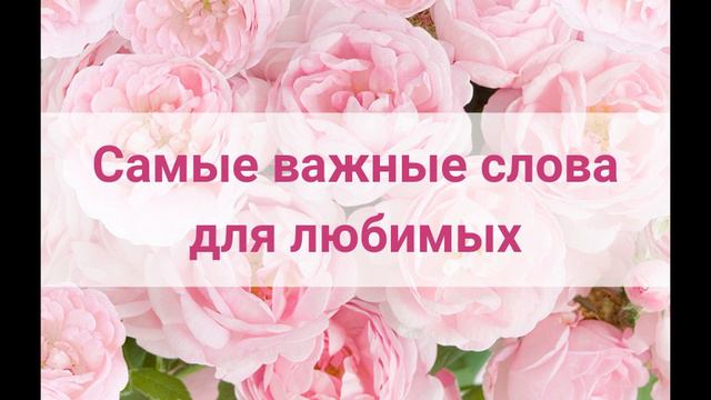 Самые важные слова для любимых смотреть онлайн