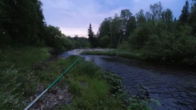 ЗАЕЗД В ТАЙГУ С НОЧЁВКОЙ / ЖИВЁМ В ИЗБУШКЕ У МАЛЕНЬКОЙ РЕЧКИ / СКОРОСОЛКА ИЗ ХАРИУСА ПО ЛЕСНОМУ. смотреть онлайн