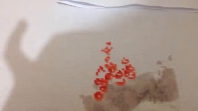 Начало процесса "Снегири" от фирмы Золотое руно + небольшой рукодельный бонус ))) смотреть онлайн