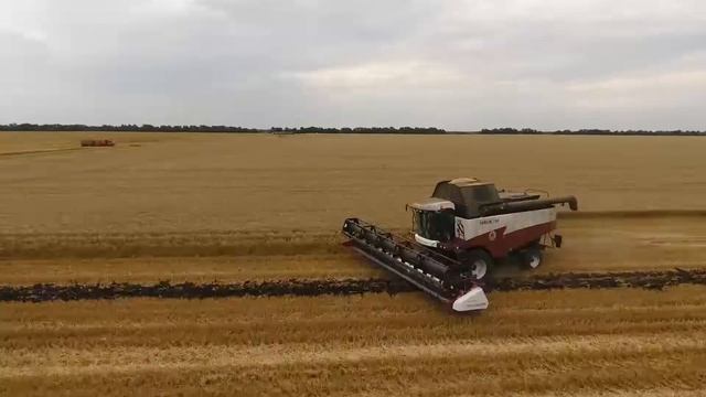 Елань уборка 2022 смотреть онлайн