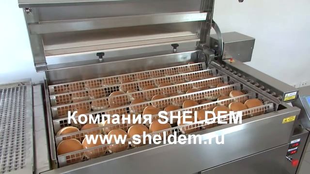 Автоматическая фритюрница для Берлинеров 480 - 600шт/час смотреть онлайн