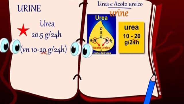 Memo 7: Urea, Azoto ureico e Azotemia:... è tutto chiaro? смотреть онлайн
