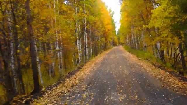Поездка по бывшей Белорецкой ЖД ! 100 км - 99 км - Рудник , Южный Урал , Башкортостан ! Осень 202 смотреть онлайн