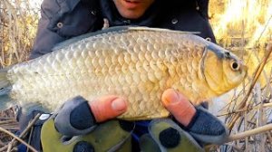 ЛЁД РАСТАЯЛ и РЫБА ПОПЁРЛА! ПЕРВАЯ УДАЧНАЯ РЫБАЛКА НА ПОПЛАВОК 2024! Рыбалка на карася ранней весной