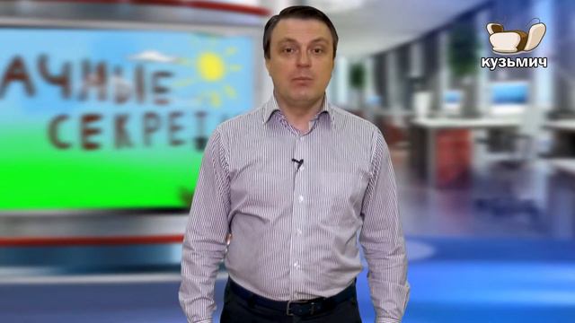 Дачные секреты с Сергеем Букашовым (1 выпуск) смотреть онлайн