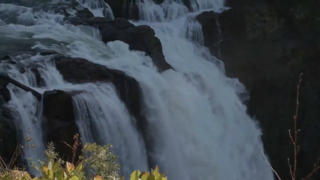 Я в жизни не боролась за мужчин. Автор текста Ирена Буланова. Стихи смотреть онлайн
