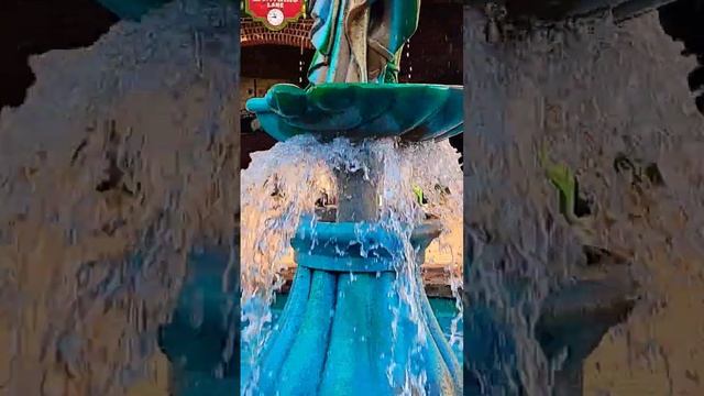 Duck Lives at Miss Piggy Muppets Fountain #shorts #disney #tourism смотреть онлайн