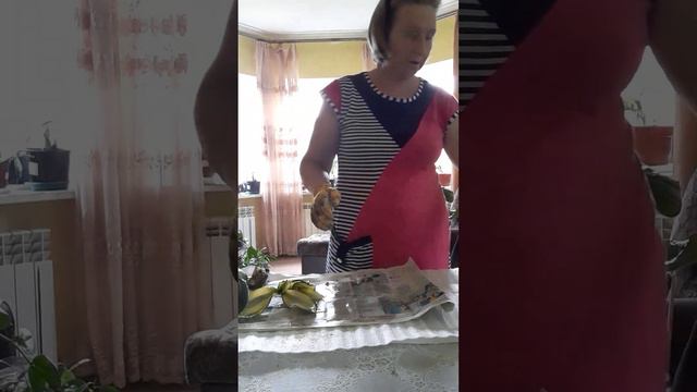 Распаковка сансевиерии и разговор . смотреть онлайн
