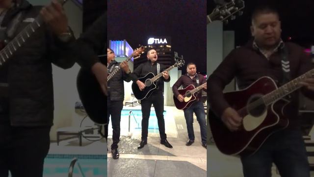 Dicen De Mi - Los De Chihuahua en (Vivo) 2019 смотреть онлайн