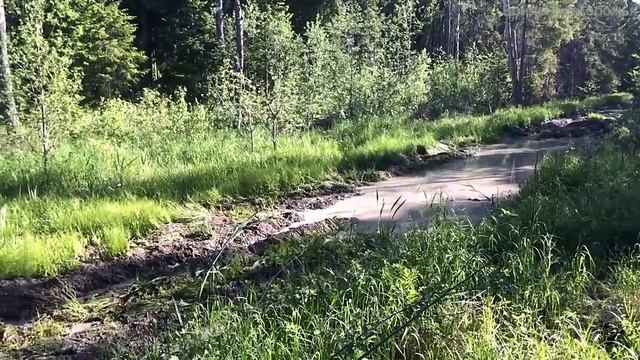 БРДМ ДОМИНАТОР Через трясину в лесу. смотреть онлайн