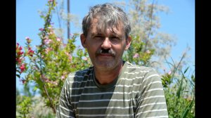 Профилактика вирусных болезней у молодняка кур, в возрасте от нуля до двух месяцев. Матрипула С.Б.