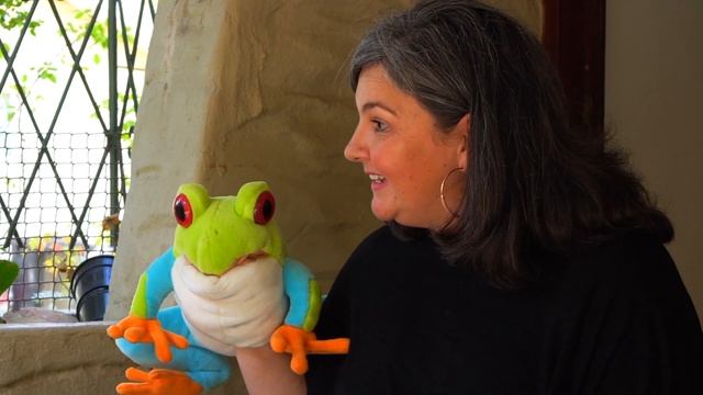 Musical Fun with Froggy - Listen, Match and Colour смотреть онлайн