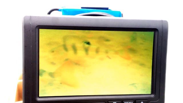 Подводная камера-ловля окуня