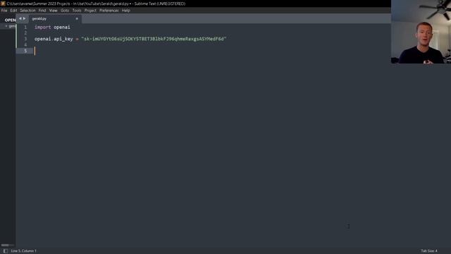 How to connect OpenAI & Python in under 20 lines of code - Making Gerald смотреть онлайн
