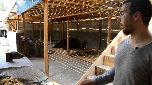 Провинция Юньнань, гора Наньно (南糯山). Рассказ о местном Шоу Гун Ча смотреть онлайн