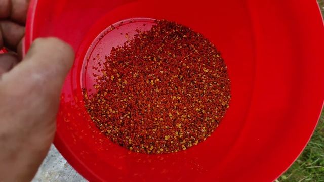 Июньский супер пыльценос.Как собирают пчёлы пыльцу с люпина. #пчеловодство #пыльца #люпин смотреть онлайн