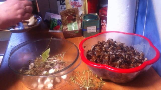 Вкусные рецепты с грибами