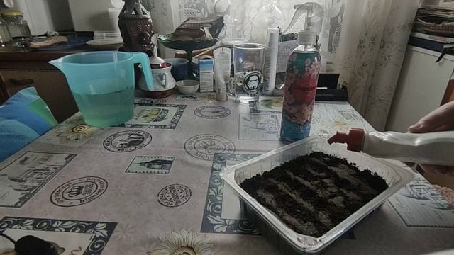 4.02.23. Забота об орхидее, чудо бутылка для бережного полива цветов и распаковка "Евроопт". 💥💥💥 смотреть онлайн