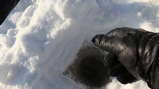 Щука в глухозимье в диких местах на жерлицы и балансир. Рыбалка в Беларуси. смотреть онлайн