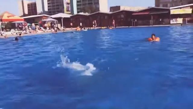 Алижан))Бассейн трк Актау смотреть онлайн