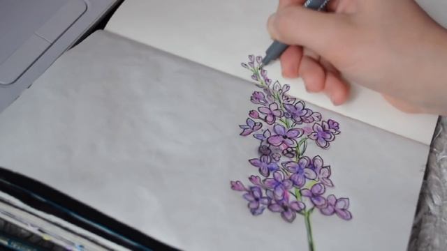 Мой скетчбук. Рисую сирень / My moleskine sketchbook. Lilac drawing смотреть онлайн