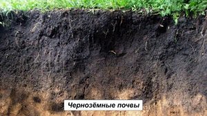 "Разнообразие почв", Окружающий мир 4 класс ч.1, с.47-49, Планета знаний.mp4