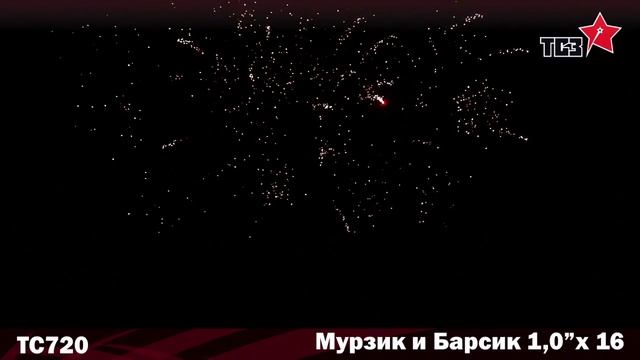 Салют Барсик и Мурзик 16 залпов смотреть онлайн