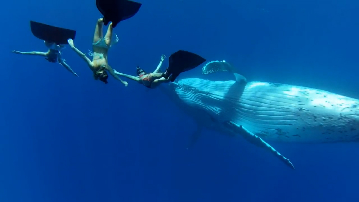 GoPro смотреть онлайн