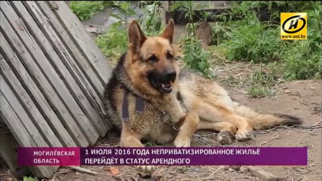 На приватизацию жилья у белорусов осталось две недели смотреть онлайн