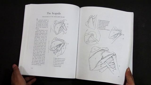 BRIDGMAN'S COMPLETE GUIDE to Drawing from Life: Flip-through смотреть онлайн