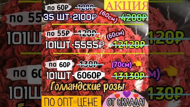 Короче гороворя цены на розы психанули и стали дешевле антикризисных. Тюмень цветы АЛАЯ РОЗА смотреть онлайн